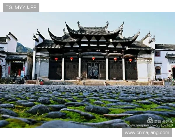 兴发真人：探索真实生活中的精彩瞬间与感人故事